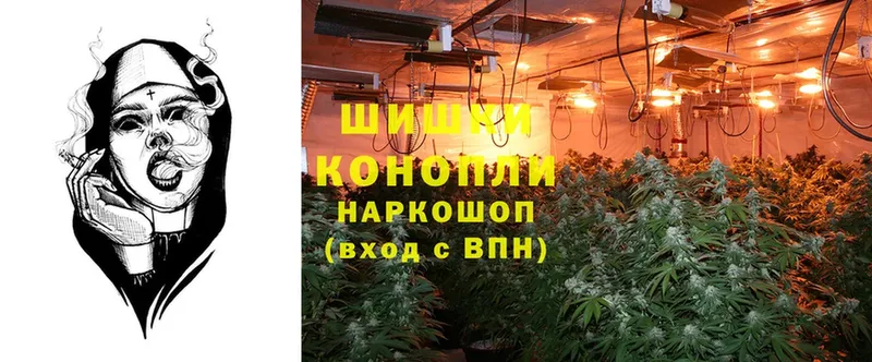 Канабис OG Kush  Воскресенск 